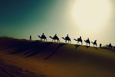 desert tour from fes